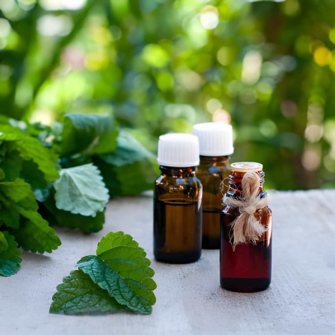 Melisse Etherische Olie - 10 ml