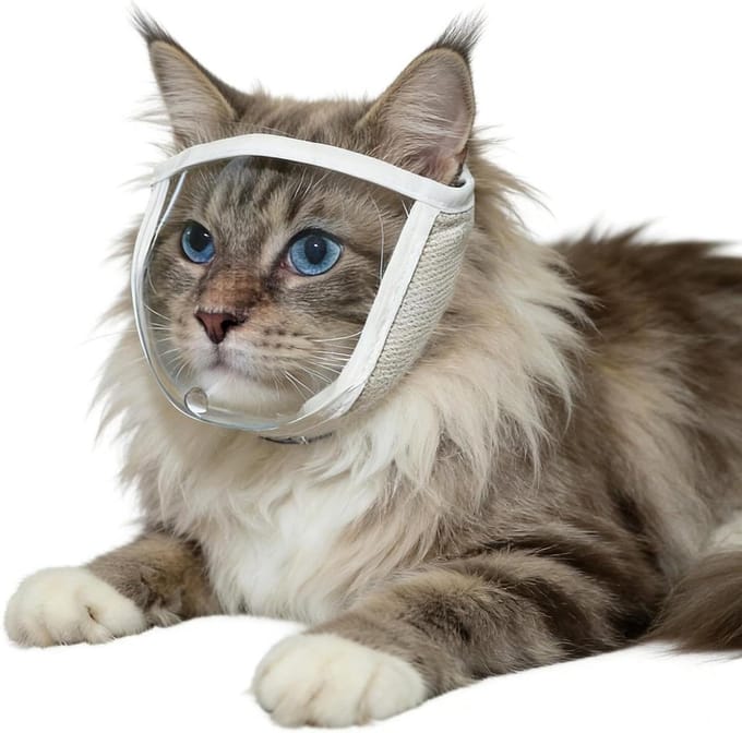 Kattenmuilkorf - Kattenkap - Veilige Verzorging - Transparant Ademend - S-M - Transparant