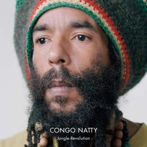 Congo Natty - Jungle Revolution (2 LP)