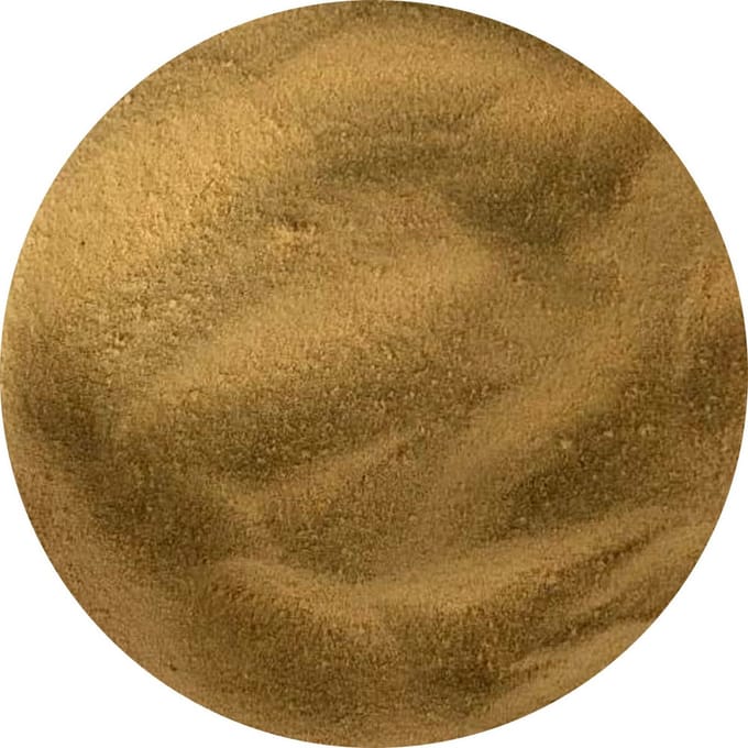 Van Beekum Specerijen - Gistextract - 20 KG - Zak (bulk verpakking)