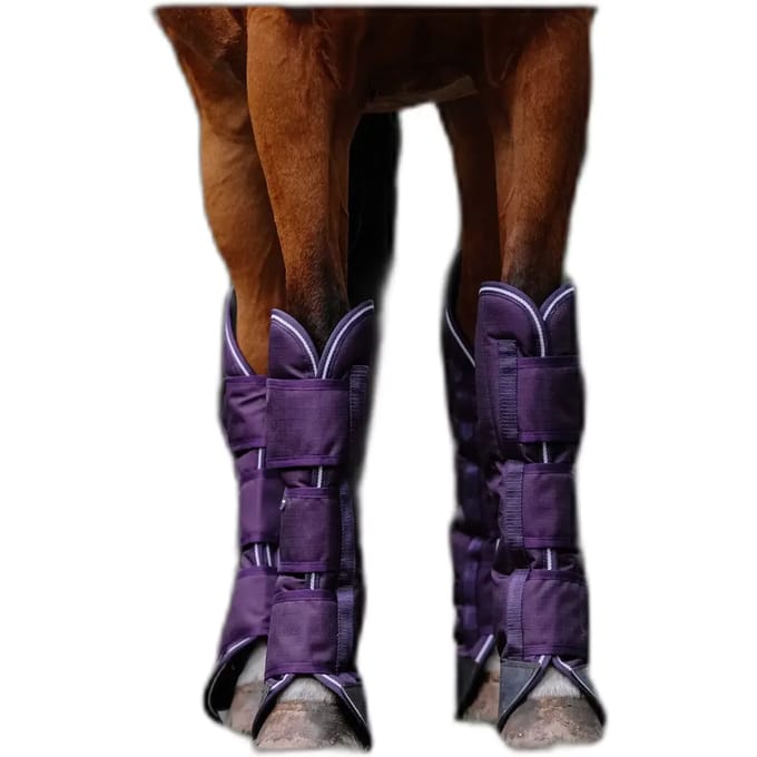 Transportlaarzen voor paarden Equithème Tyrex 600D