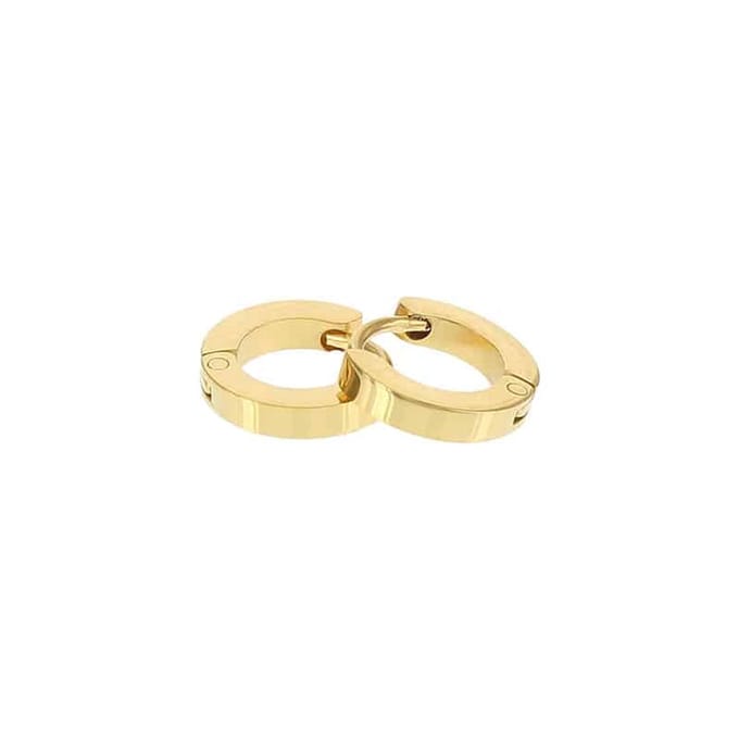 Kalli edelstalen Oorbel shiny 1898 Goud 10mm