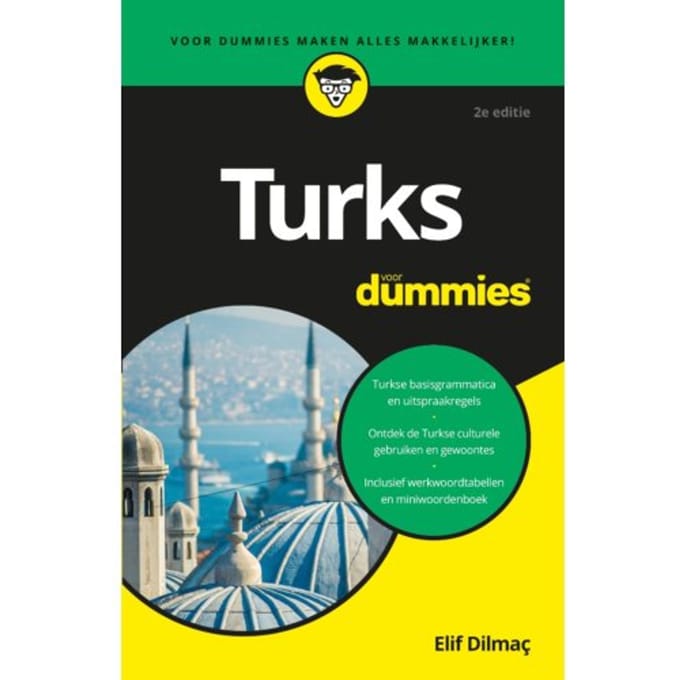 Turks Voor Dummies - Voor Dummies - Elif Dilmaç