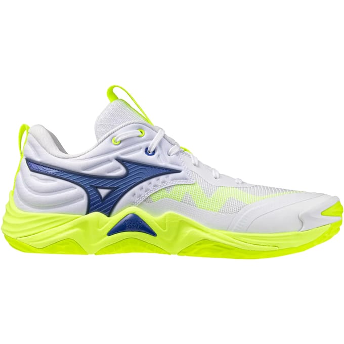 Indoor schoenen Mizuno Wave Momentum Elite