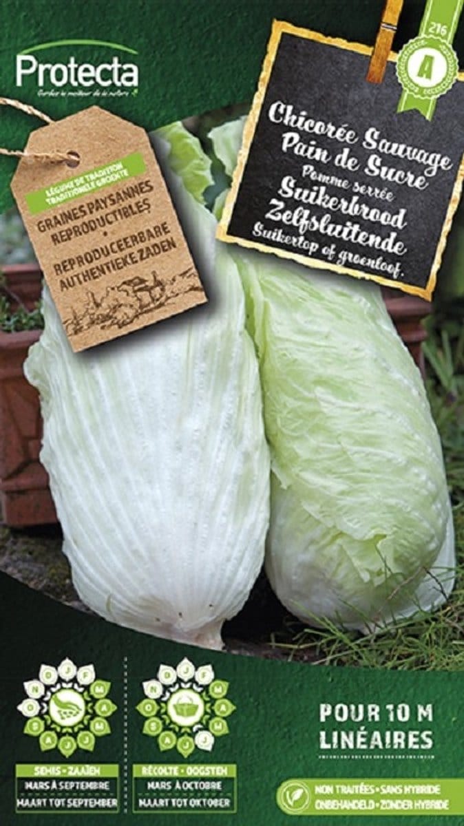 Protecta Groente zaden: Suikerbrood Zelfsluitende