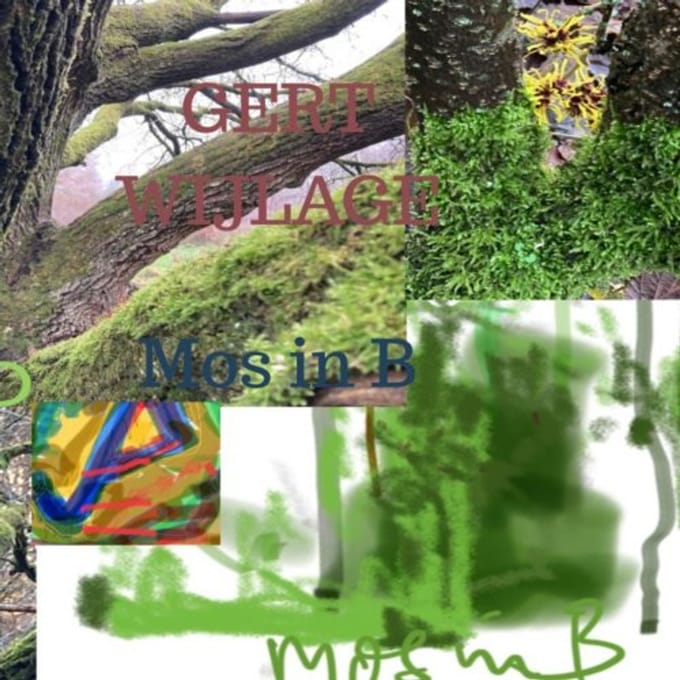 Mos In B - Gert Wijlage