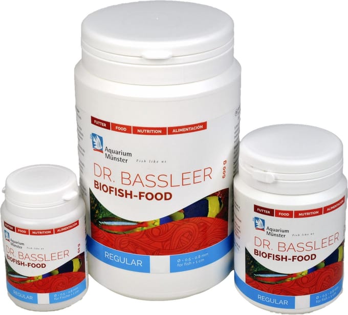 Dr. Bassleer Regular