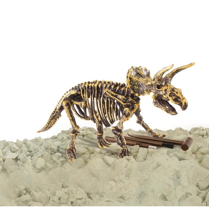 Dino Base speelgoed Triceratops 3D uitbik set - dinobot skelet bouwen.