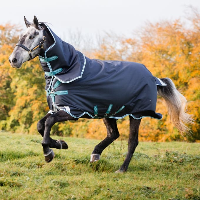 Amigo Bravo 12 Plus Medium 250g-Navy-85-130 pony