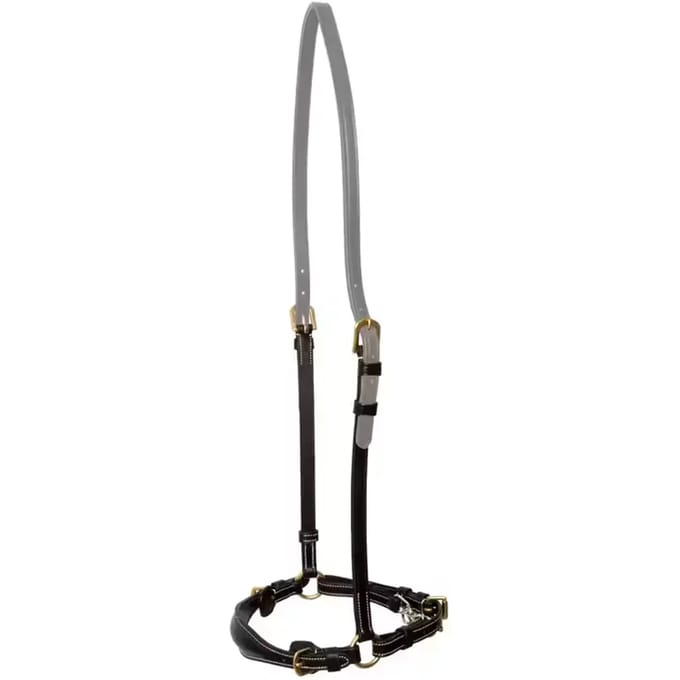 Lage ketting neusriem voor paard Dy'on