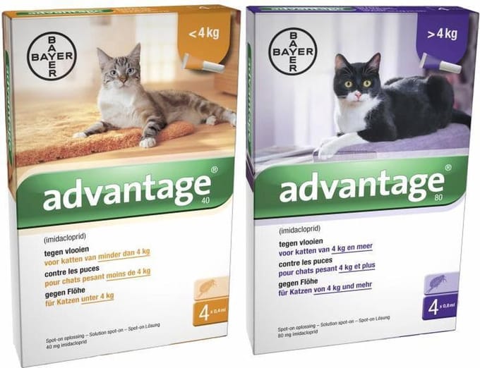 Bayer Advantage Kat 40 tot 4 kg - 4 Pipetten