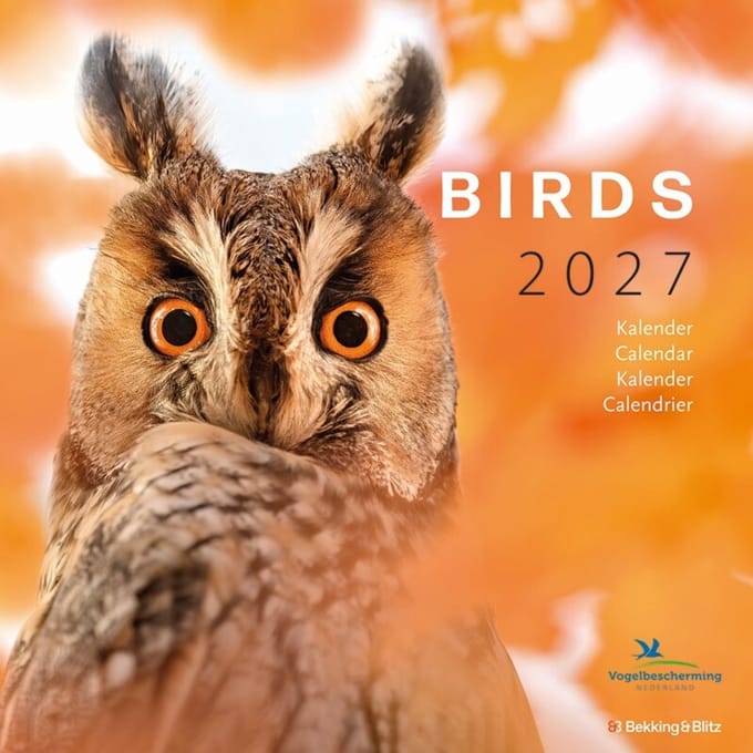 Birds Kalender 2027