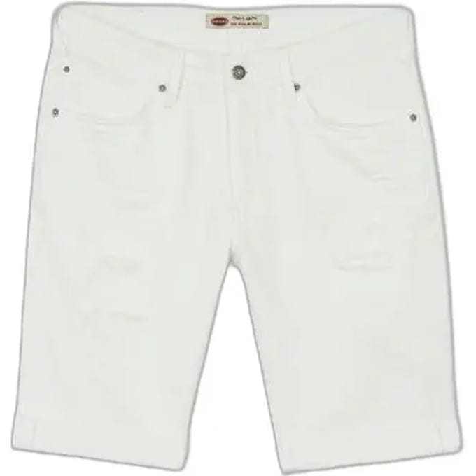 Bermuda Teddy Smith Scotty 3 Reg