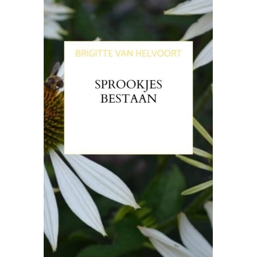 Sprookjes Bestaan - Brigitte van Helvoort