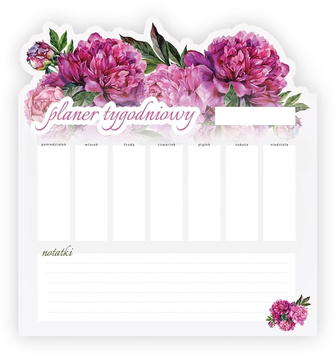 Wallvy - Magnetische Plannen - 58x65cm - Hoge Drukkwaliteit - Personaliseerbaar