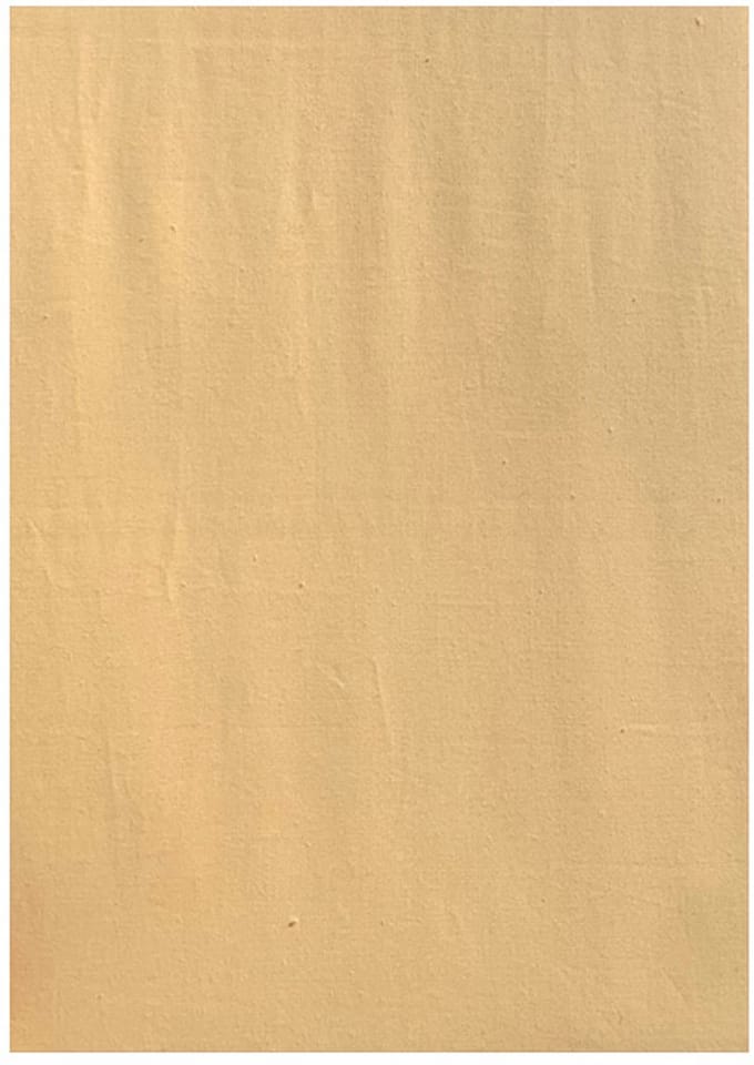 Acanthus Kussenslopen Perkal Katoen - 60x70 cm - 2 Stuks - Geel