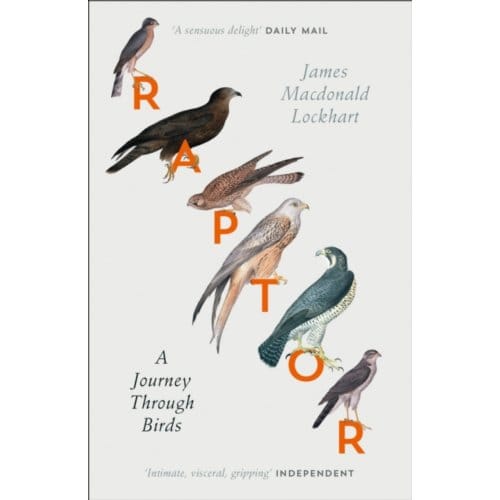 Raptor - James Macdonald Lockhart