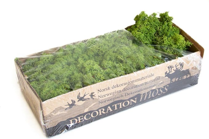 IJslands Mos Gras - Groen | 500 gram