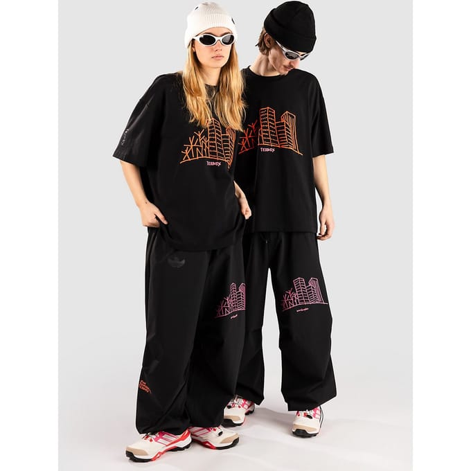 adidas Terrex Shmoofoil Broek zwart