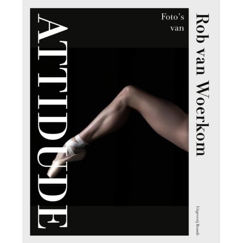 Attitude - Rob van Woerkom