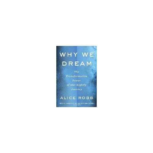Why We Dream - Robb Alice Robb