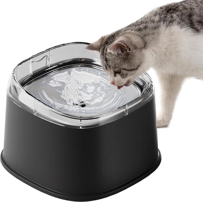 Waterbak Hond - Drinkbak Kat - Morsvrij Drinken - Flow-Guiding Rim Technology - 20 x 20 x 14 cm