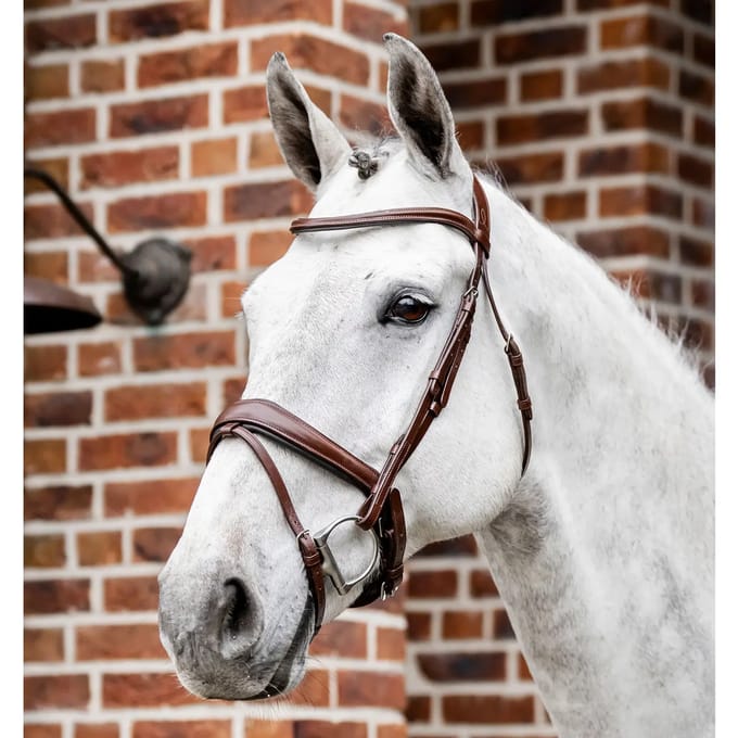 Hoofdstel Horseware Dressage Flash