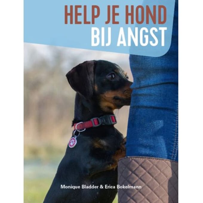 Help Je Hond Bij Angst - Monique Bladder