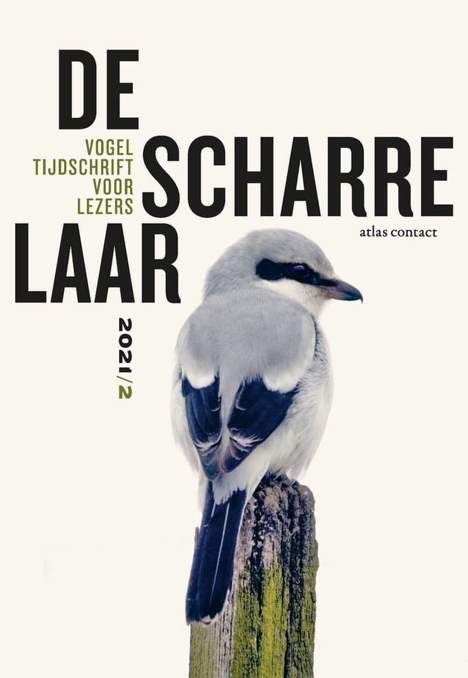 De Scharrelaar / 2021/2 - De Scharrelaar - Diverse auteurs