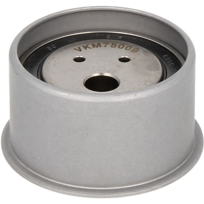 Tandriempoelie SKF VKM 75009