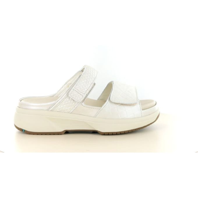 Xsensible 30709.5 wijdte h