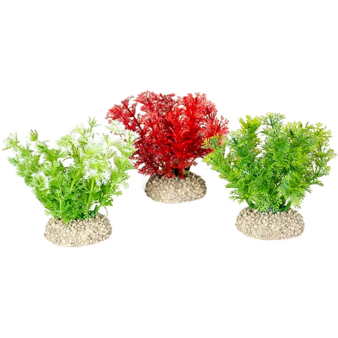 Aquarium planten decoratie Aqua Della Hottonia