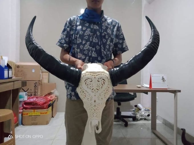 Skull echt