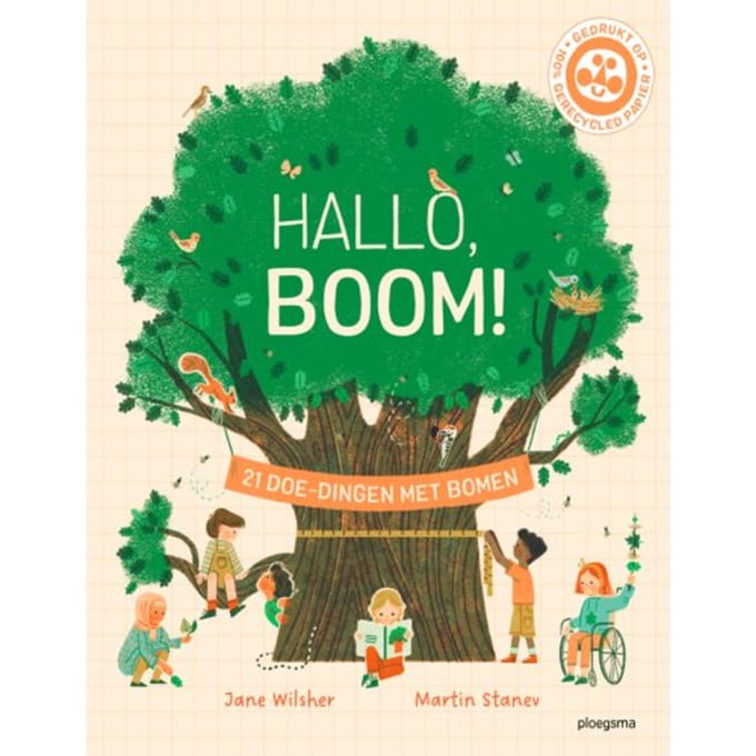 Hallo, Boom! - Jane Wilsher