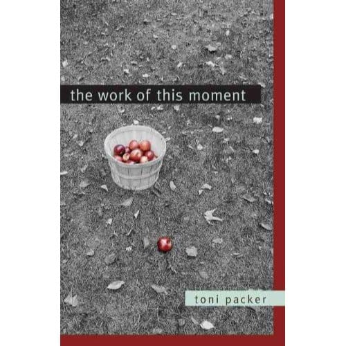The Work Of This Moment - Packer, Toni