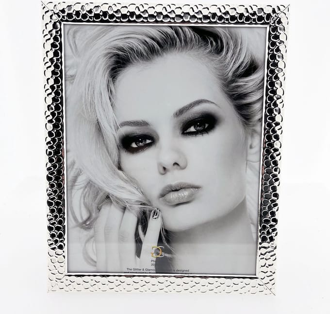 AL - Fotolijst - Zilver - Luipaard - 20 x 25 cm