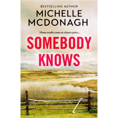 Somebody Knows - McDonagh, Michelle