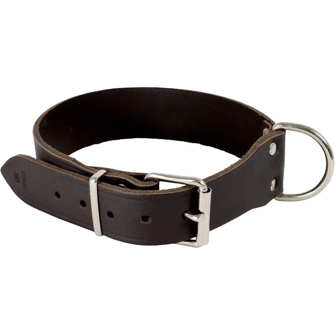 Riveted Hondenhalsband Akah