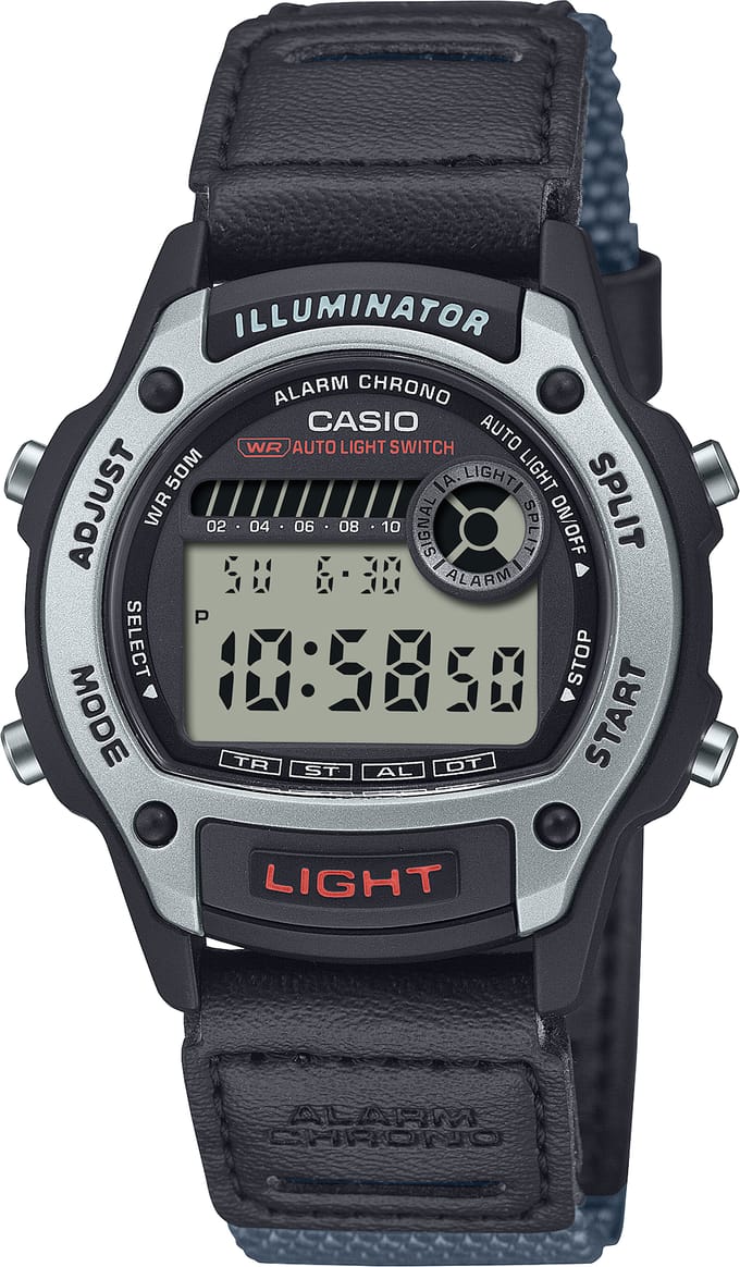 Casio Casio Collection Heren Horloge Grijs W-220HF-8AVEF