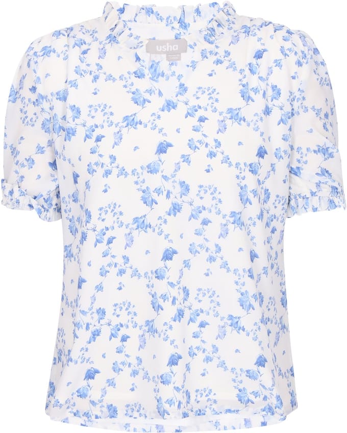 usha Blouse