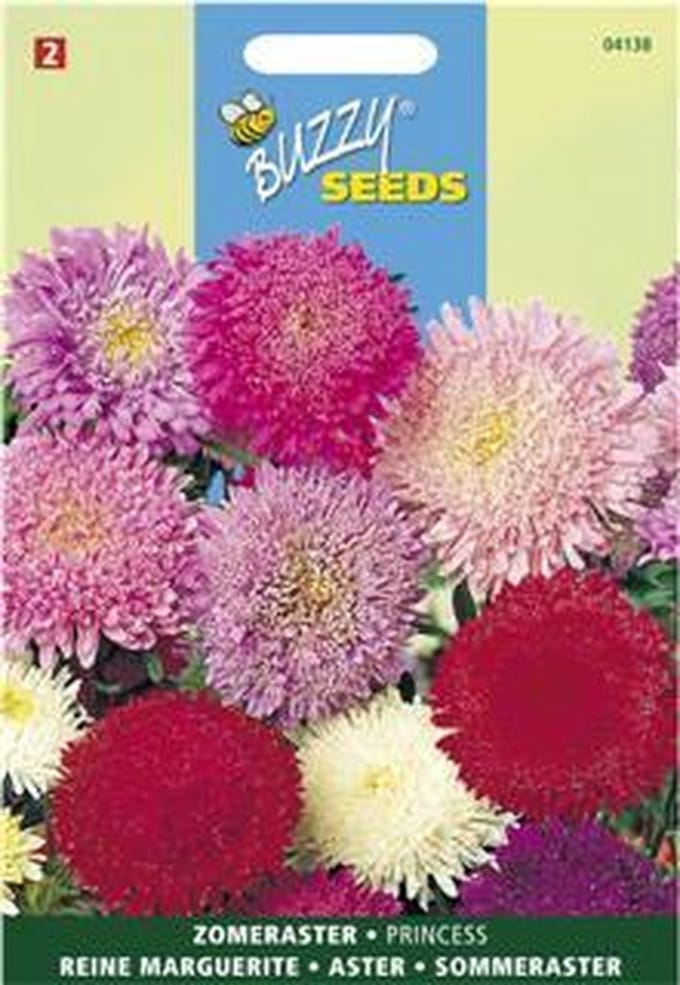 Buzzy - Zomeraster Princes Mix (Callistephus chinensis)