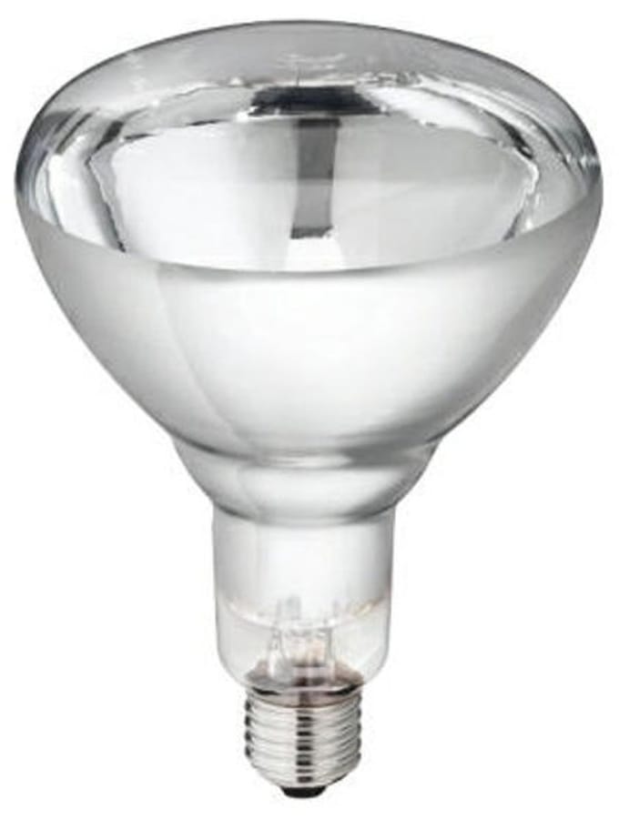 Warmtelamp Philips 250w. wit á 10 stuks.