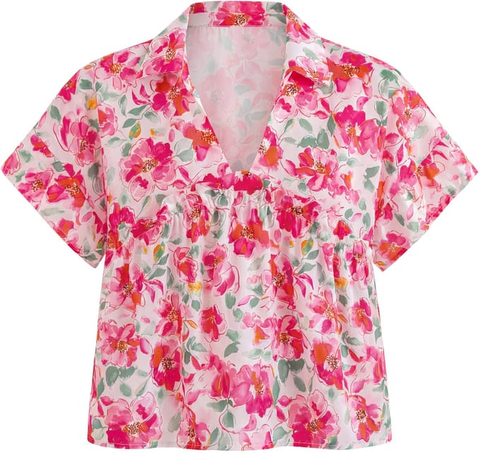 usha Blouse