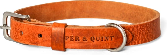 Cooper & Quint No Fuss - Halsband Hond - Leren Halsband Hond - Camel - Zilver - Medium