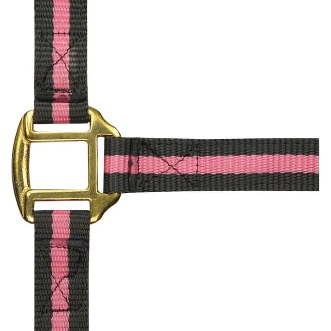Halster voor paarden Norton Doublé cuir