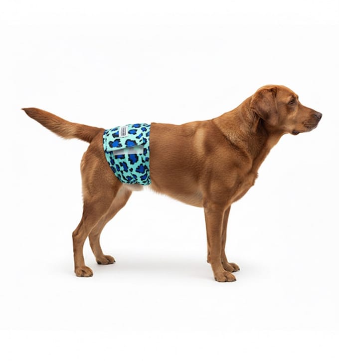 Sharon B Hondenluier Luipaard blauw Maat XL - Wasbaar - Verstelbaar 63-80 cm