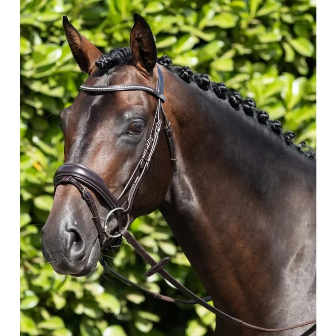 Anatomisch combinatie hoofdstel Premier Equine Stellazzio