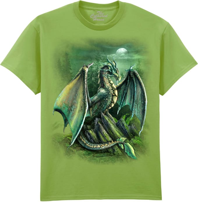Draak Garwin Dragon The Coloured House T-shirt M