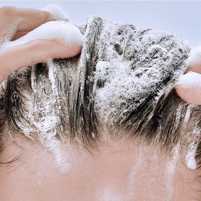 [CURLYSHYLL] Shampooing Soin Après-Salon Pour Cheveux Extrêmement Abîmés 500g black