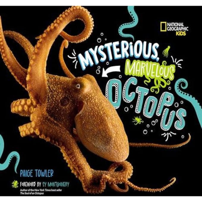 Mysterious Marvelous Octopus door Paige Towler Hardback Boek 9781426376672